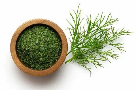 قیمت شگفت انگیز سبزی شوید خشک صادراتی + فروش استثنایی